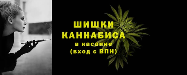МДПВ Зеленодольск