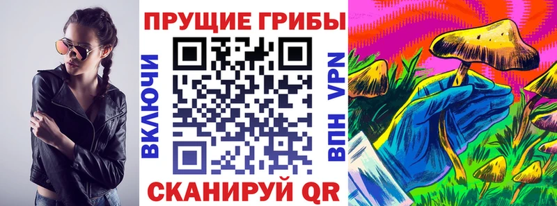 Купить  Шадринск  Галлюциногенные грибы Cubensis 